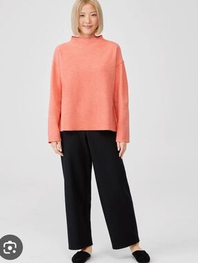 Eileen Fisher Boiled Wool Sweater Women's Small Neck Boxy Oversized